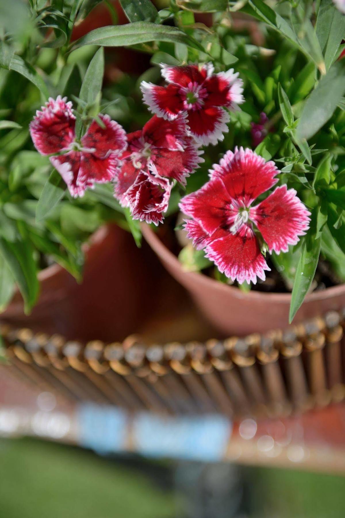 La Tua Casa Hotel Boutique Cochabamba Exteriér fotografie